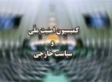 وزیر پیشنهادی دفاع برنامههای خود را در کمیسیون امنیت ملی تشریح کرد